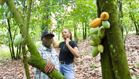 Rooted in Community