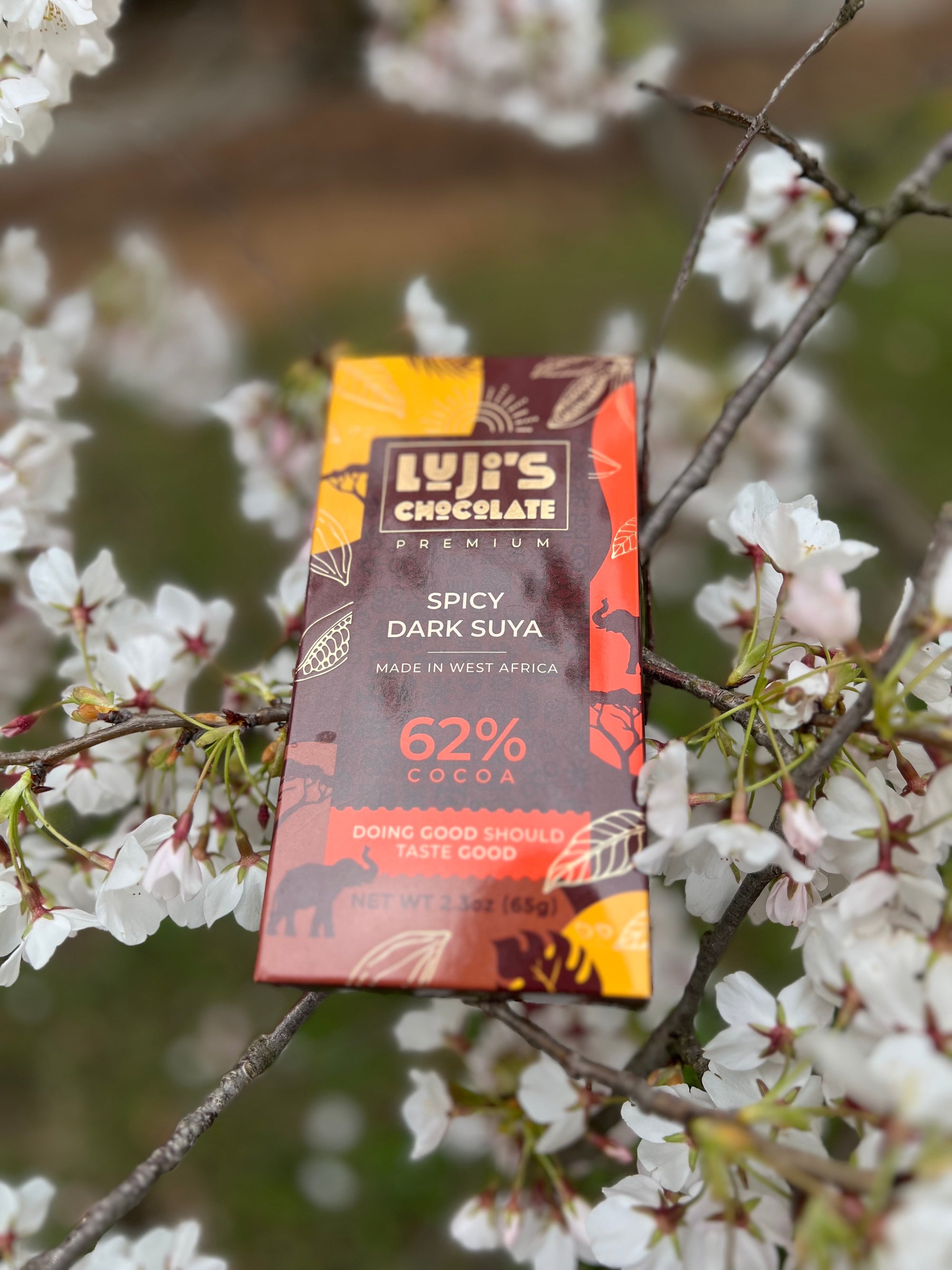 Lifestyle Spicy Dark Suya