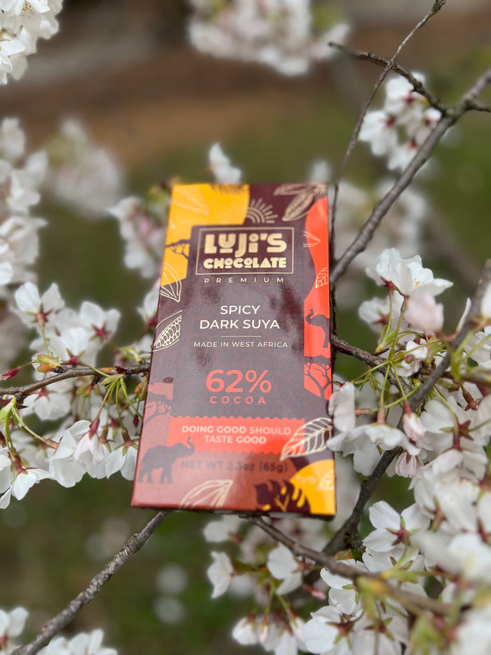 Suya Spiced Dark Chocolate (4-pack)